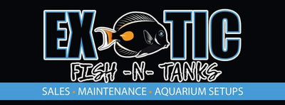 exoticfish-n-tanks